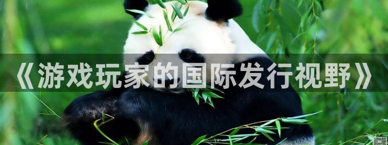 陕西新宝GG子文化创意有限公司是做什么的：《游戏玩家的国际发行视野》
