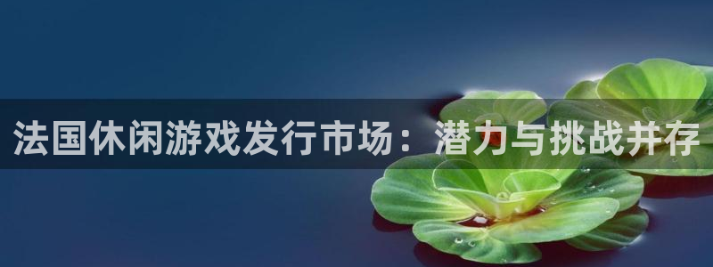 新宝GG子文化创意加好友：法国休闲游戏发行市场：潜力与挑战并存