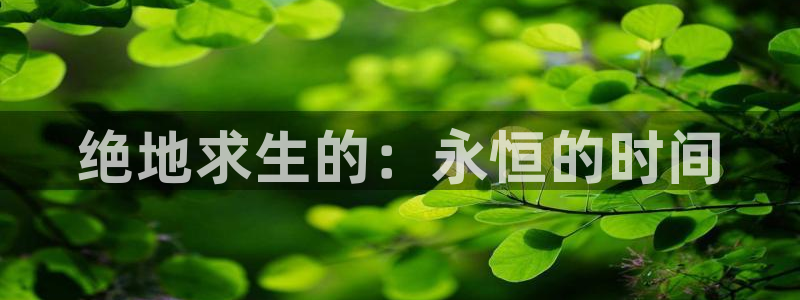 新宝GG官网跑路了吗：绝地求生的：永恒的时间