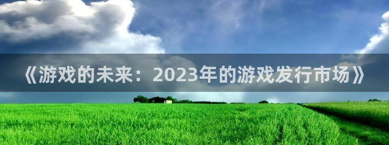 新宝GG官网注册地址查询官网：《游戏的未来：2023年的游戏发行市场》