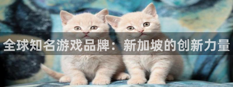 新宝GG官网注册方法：全球知名游戏品牌：新加坡的创新力量