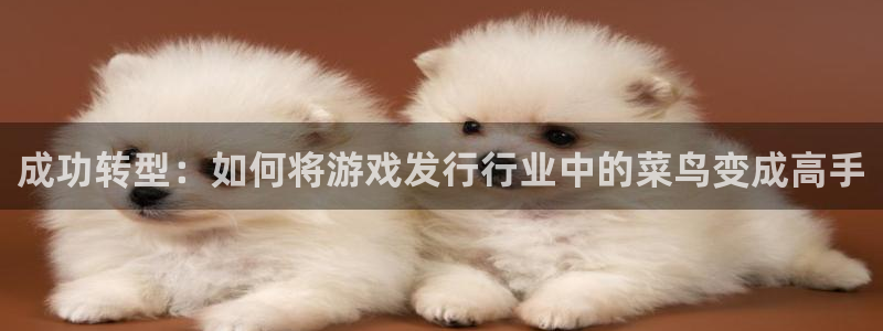 我要看新宝GG：成功转型：如何将游戏发行行业中的菜鸟变成高手
