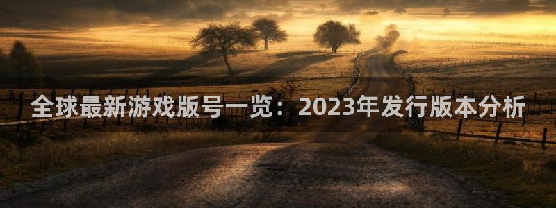 新宝GG品牌服装：全球最新游戏版号一览：2023年发行版本分析