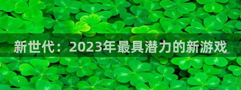 新宝GG官网平台代理条件是什么