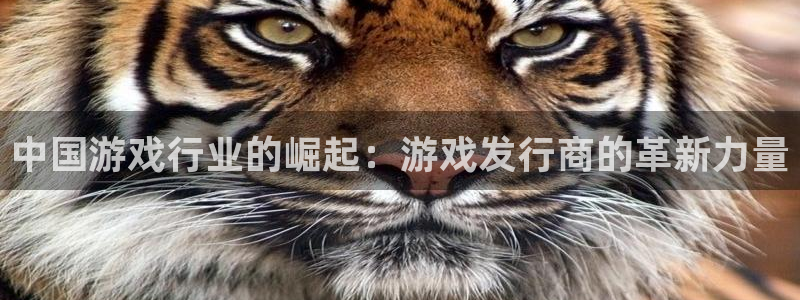 新宝GG官网登录注册失败怎么办：中国游戏行业的崛起：游戏发行商的革新力量
