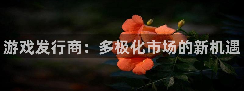 新宝GG子文化游戏：游戏发行商：多极化市场的新机遇