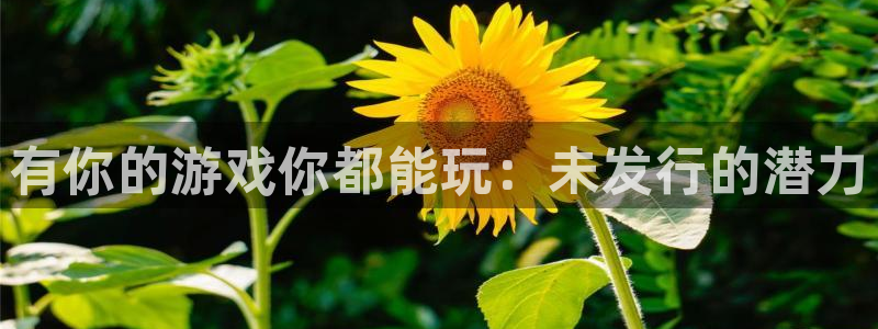 新宝GG户外：有你的游戏你都能玩：未发行的潜力