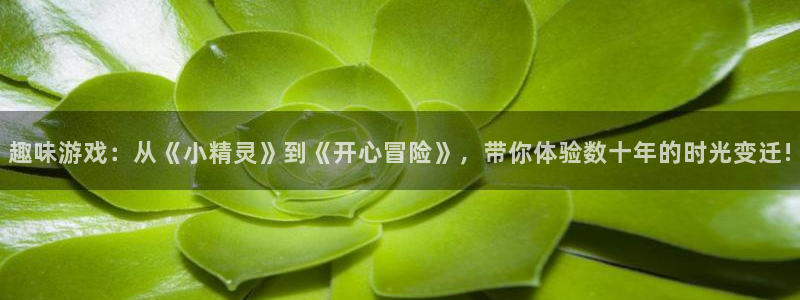 新宝GG子教育科技有限公司：趣味游戏：从《小精灵》到《开心冒险》，带你体验数十年的时光变迁!