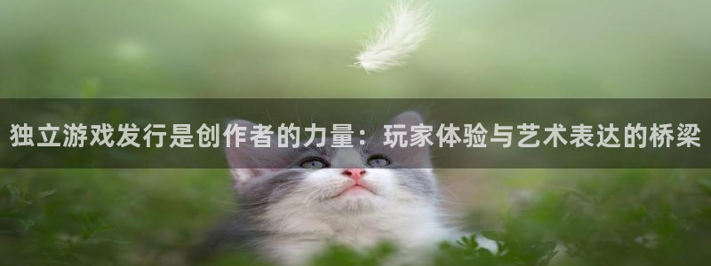 新宝GG官网游戏：独立游戏发行是创作者的力量：玩家体验与艺术表达的桥梁