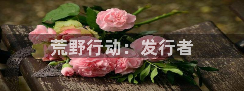 新宝GG子签约作家：荒野行动：发行者