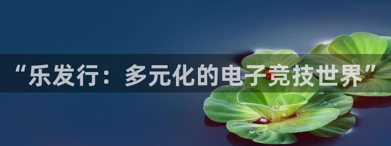 新宝GG官网注册方法是什么：“乐发行：多元化的电子竞技世界”
