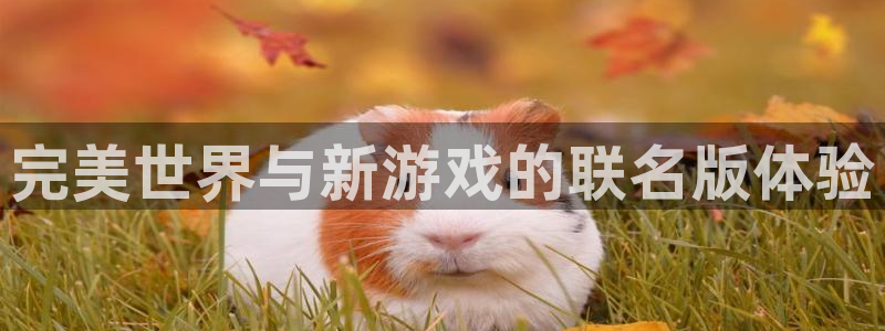 新宝GG商标：完美世界与新游戏的联名版体验