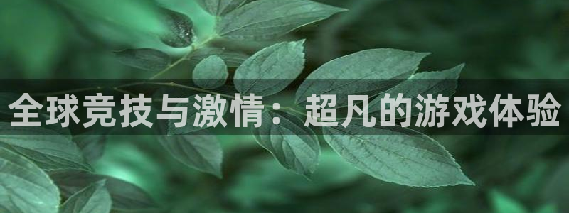 新宝GG官网注册方法视频教程：全球竞技与激情：超凡的游戏体验