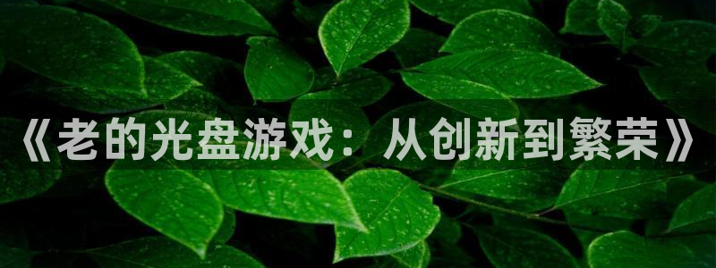 新宝GG官网登录注册失败：《老的光盘游戏：从创新到繁荣》