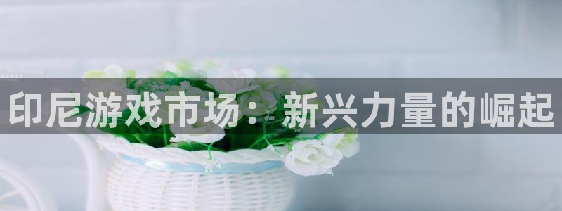 新宝GG子财经出版中心：印尼游戏市场：新兴力量的崛起