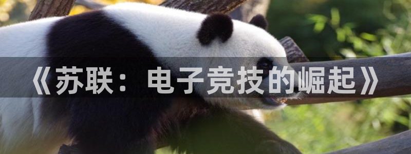 新宝GG官网平台会黑款吗：《苏联：电子竞技的崛起》