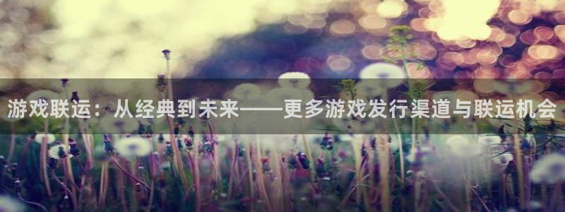 新宝GG价格：游戏联运：从经典到未来——更多游戏发行渠道与联运机会