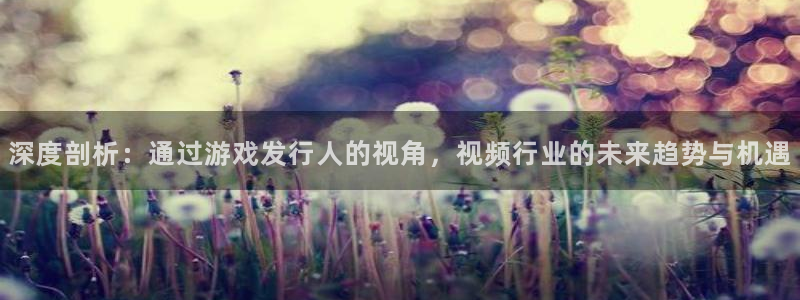 新宝GG子经理人：深度剖析：通过游戏发行人的视角，视频行业的未来趋势与机遇