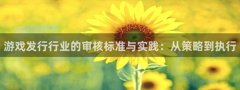 新宝GG官网登录注册账号安全吗可靠吗：游戏发行行业的审核标准与实践：从策略到执行