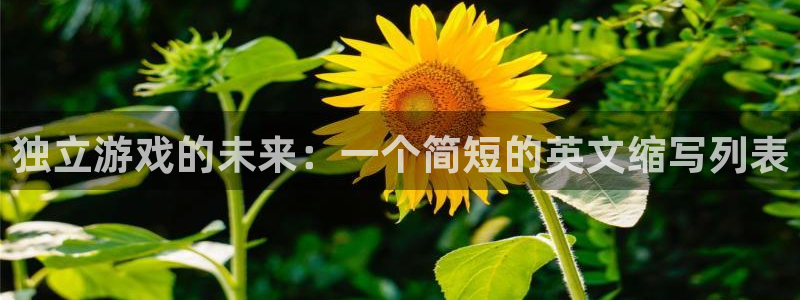 新宝GG官网注册平台登录：独立游戏的未来：一个简短的英文缩写列表