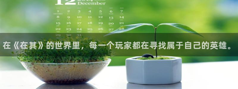 新宝GG红酒怎么样：在《在其》的世界里，每一个玩家都在寻找属于自己的英雄。