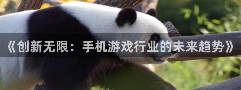 广州新宝GG足球俱乐部