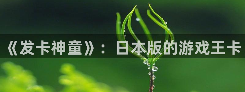 新宝GG娱乐测速官网